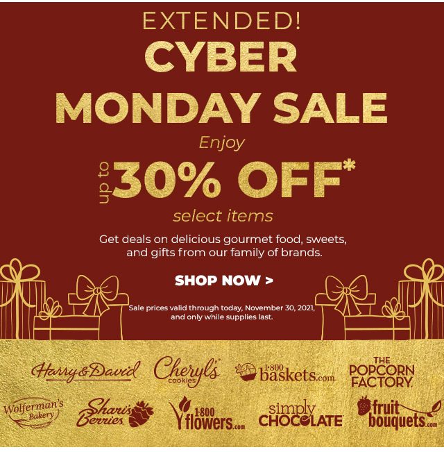 EXTENDED! - CYBER MONDAY SALE - Enjoy up to 30% OFF