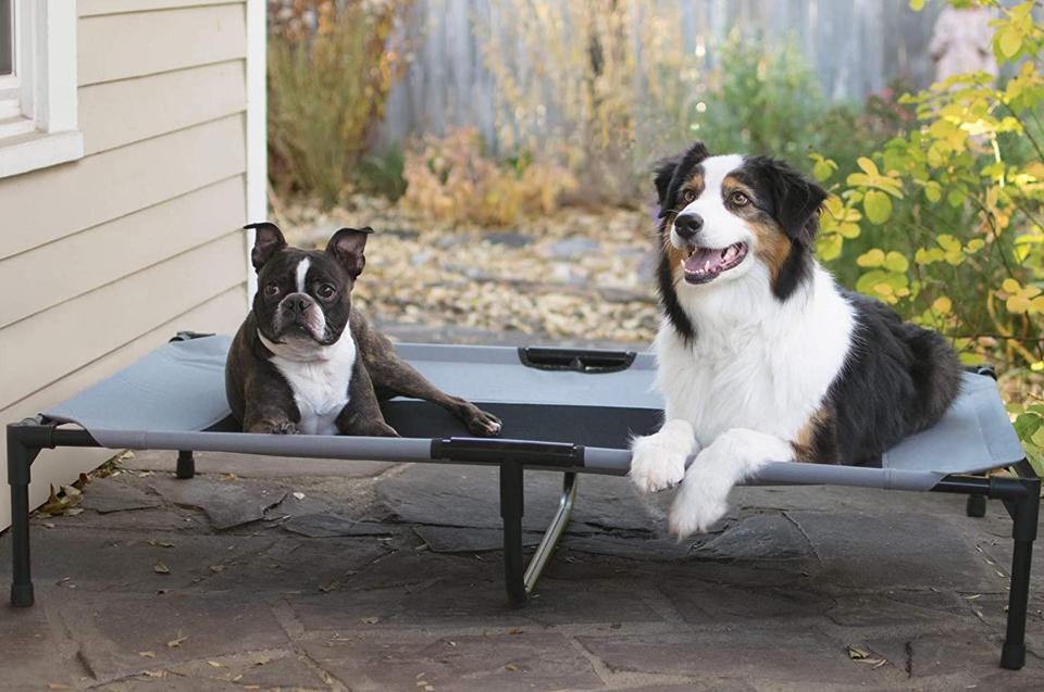 The Best Dog Beds, According To Online Reviewers