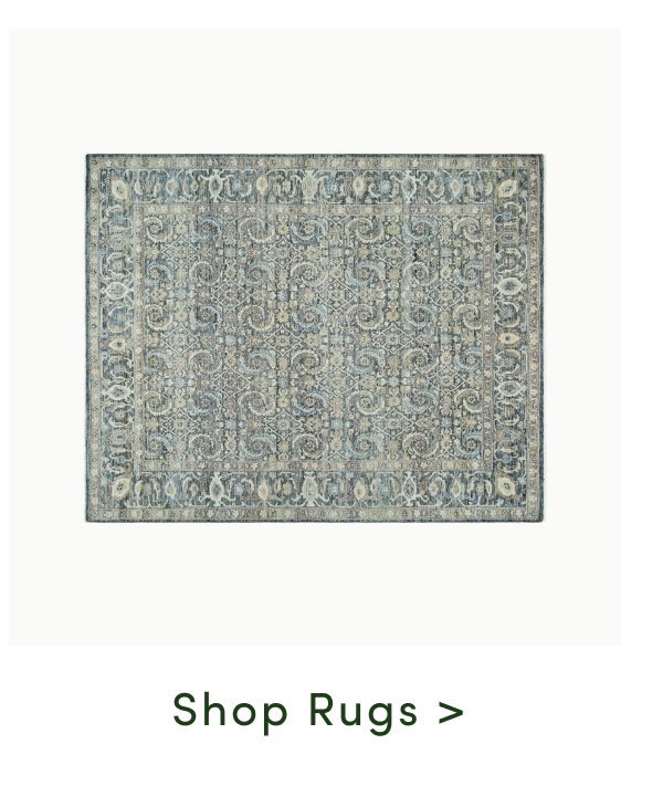 Shop Rugs