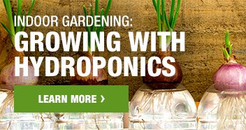 INDOOR GARDENING: GROWING WITH HYDROPONICS LEARN MORE