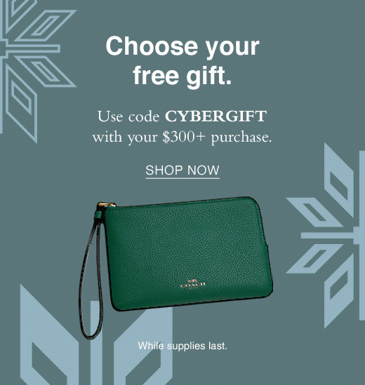 Choose your free gift. Use Code CYBERGIFT with your $300+ purchase. SHOP NOW