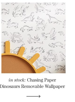 Chasing Paper Black and White Dinosaurs Removable Wallpaper