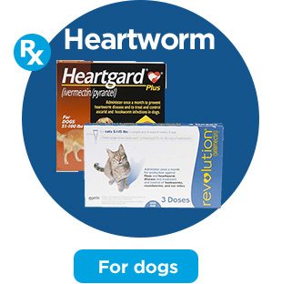 Heartworm. For dogs.