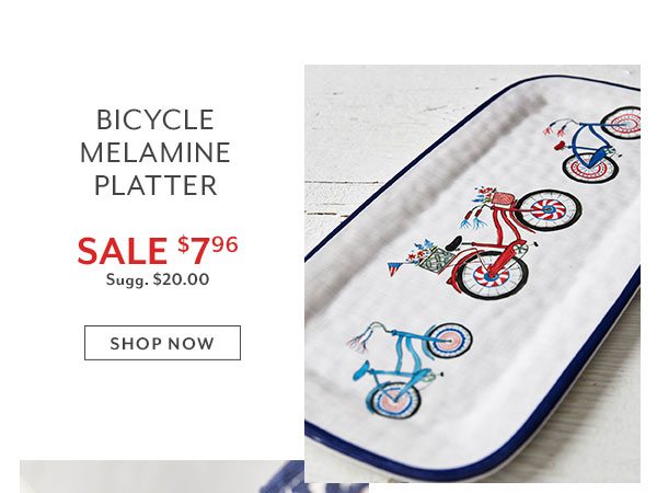 Bicycle Platter