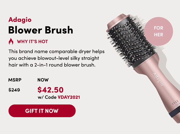 Blower Brush | Gift It Now 