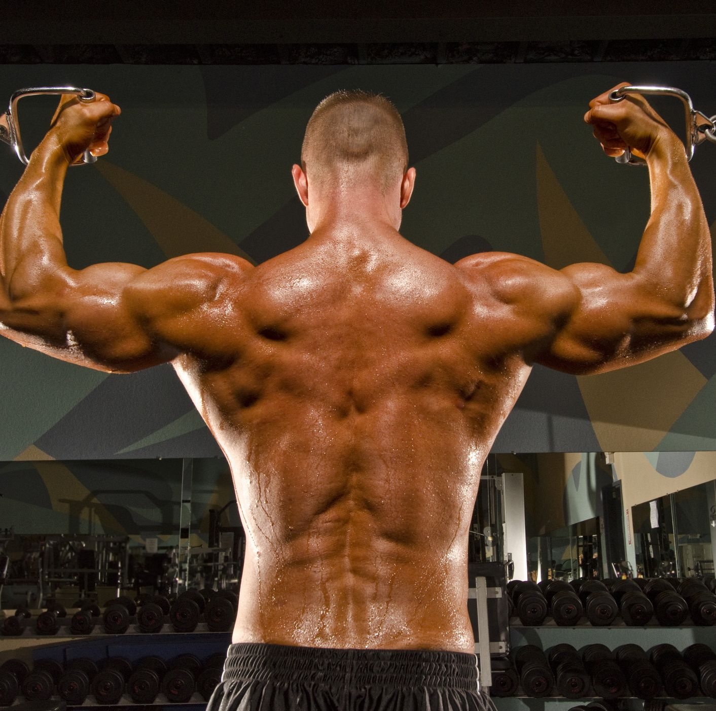 How to Build Up Your Back and Biceps in the Same Workout