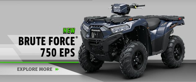 NEW BRUTE FORCE® 750 EPS