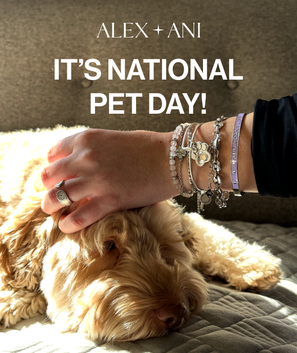 Pets We Love | Shop Now