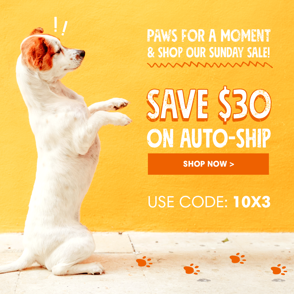 Shop & Save Sitewide!
