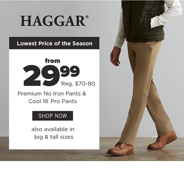 Hagger from 29.99 Premium No Iron Pants & Cool 18 Pro Pants - Shop Now