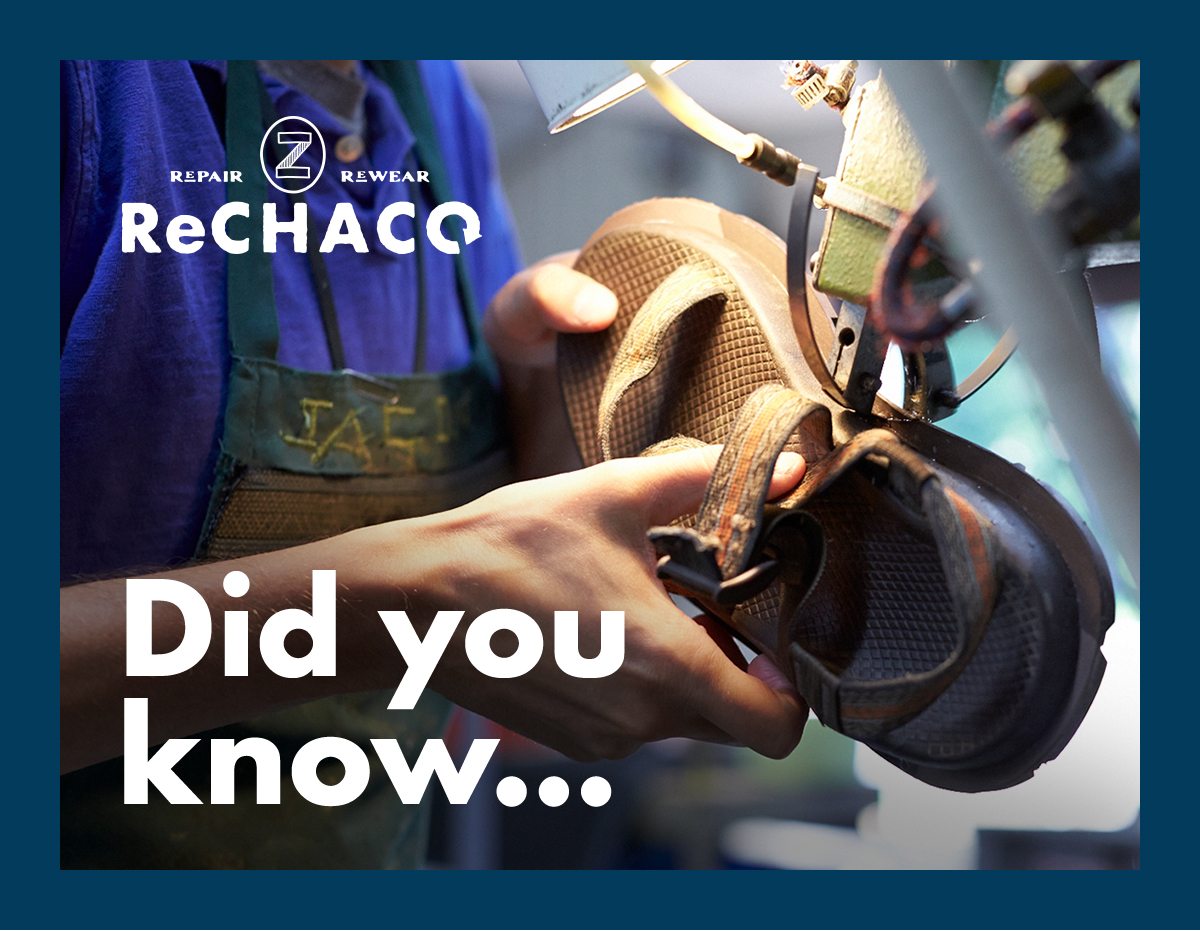 CHACO - LEARN ABOUT RECHACO - IMG