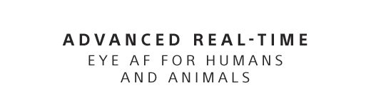 ADVANCED REAL-TIME EYE AF FOR HUMANS AND ANIMALS