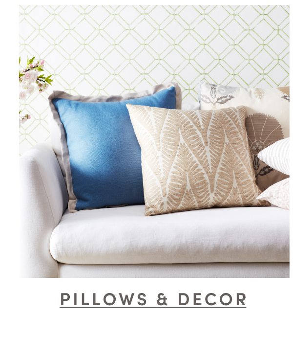 Shop Pillows & Decor