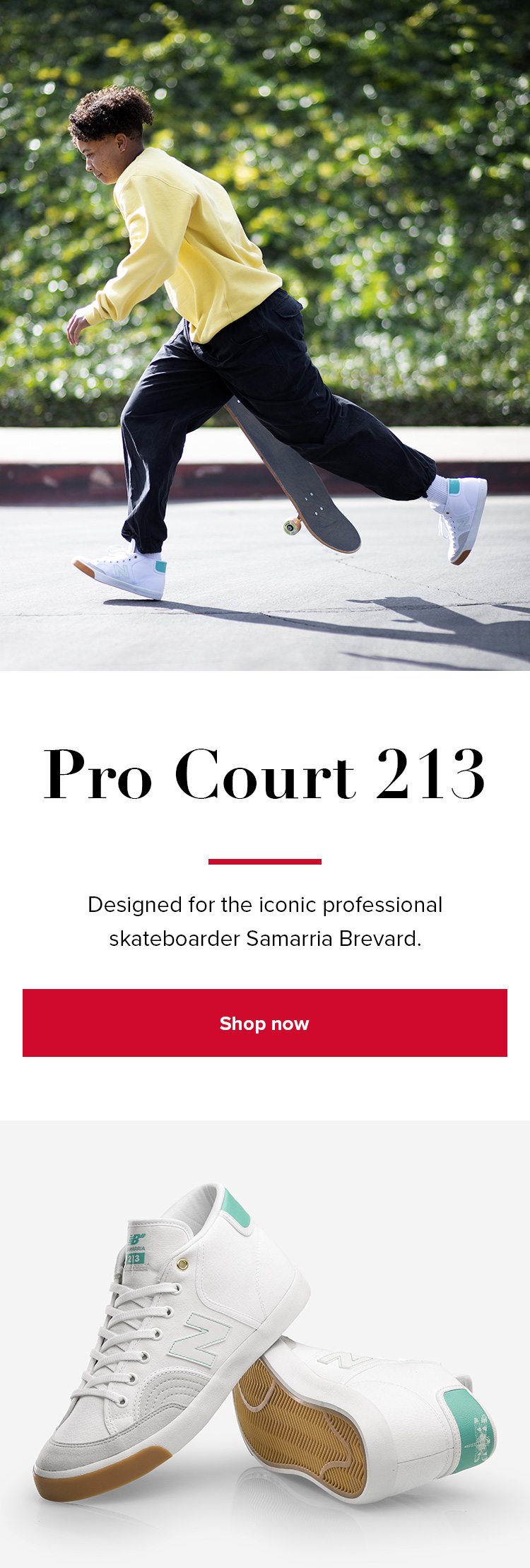 Shop the Pro Court 213