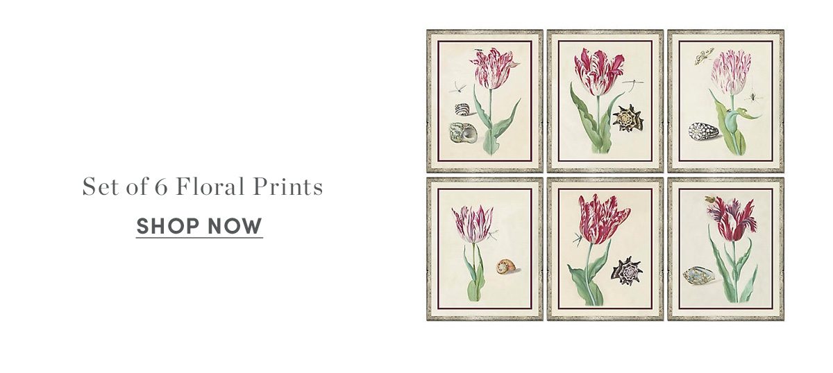 Shop of 6 floral prints