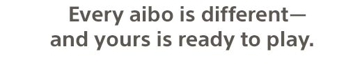 Every aibo is different—and yours is ready to play.