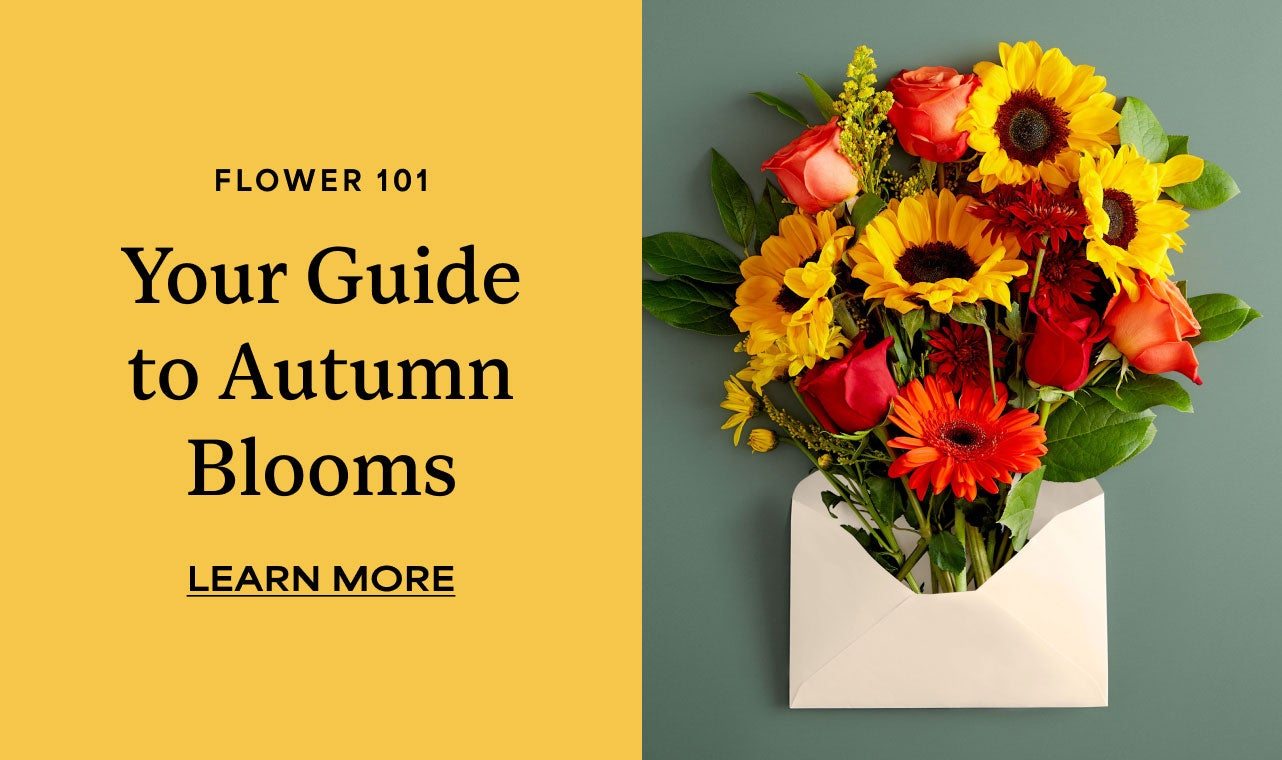 YOUR GUIDE TO AUTUMN BLOOMS