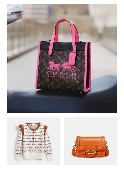 Shop the Horse and Carriage