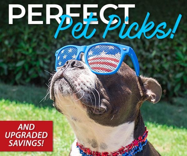 Perfect Pet Picks & Upgraded Savings! 10% Off | 20% Off over $79 | $3.99 Shipping over $99*