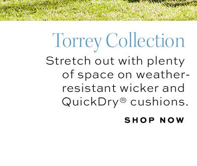 Torrey Collection