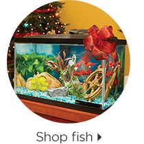 Shop fish > 
