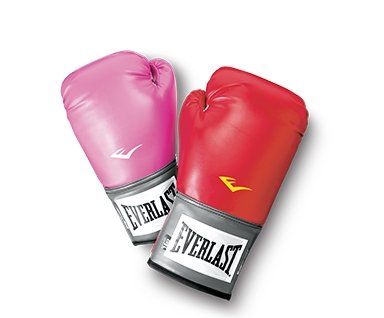 Everlast Kickboxing