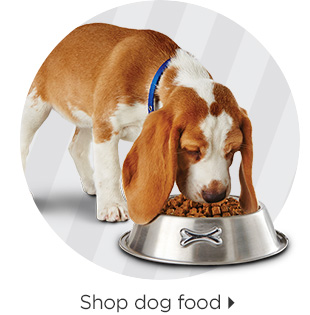 Shop dog food > 
