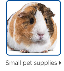 Small pet supplies.