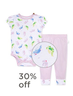 Pretty Parakeet Organic Baby Bodysuit & Pant Set