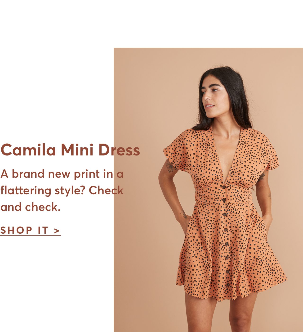 Camila Mini Dress