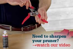 Need to sharpen your pruner? watch our video