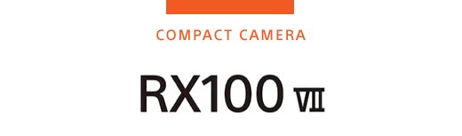 COMPACT CAMERA | RX100 VII