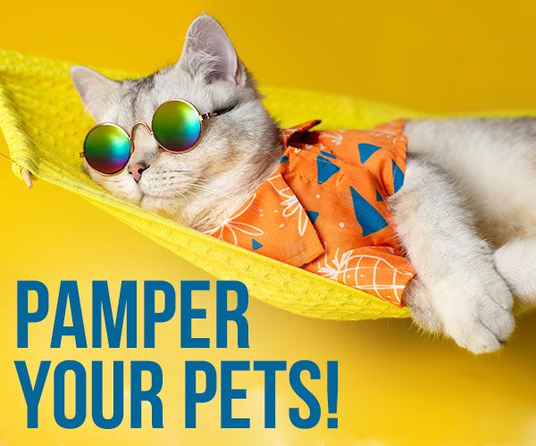 Pamper Your Pets! 10% Off or 20% Off Orders over $79*