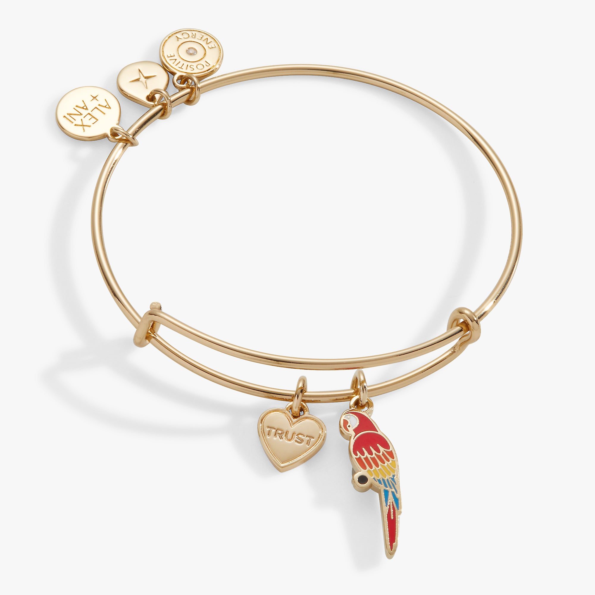 Image of Trust Parrot Duo Charm Bangle