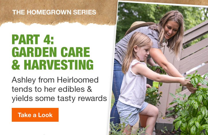 PART 4: GARDEN CARE & HARVESTING TAKE A LOOK