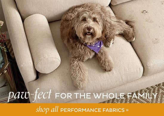 Performance Fabric