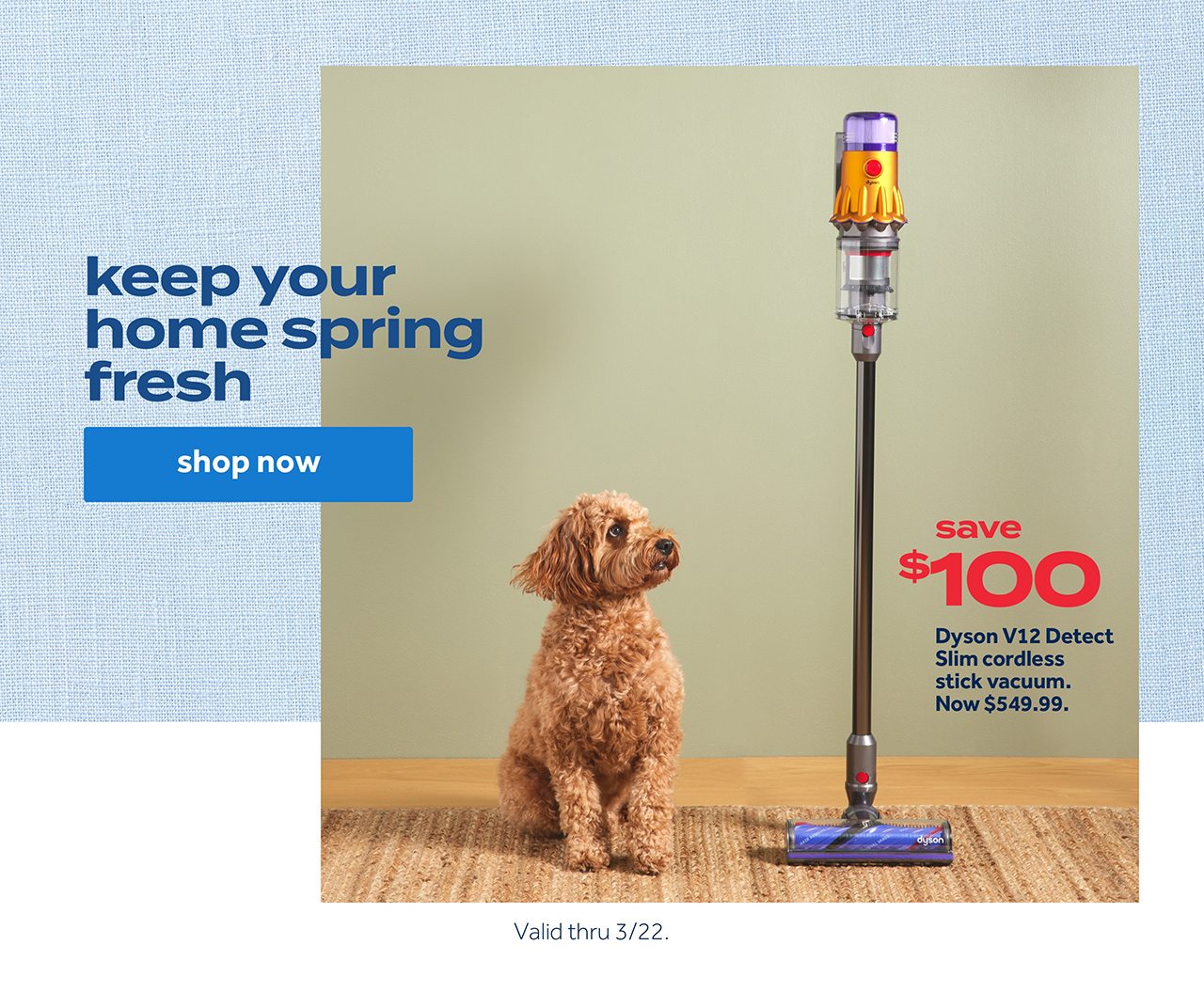keep your home spring fresh | shop now | Valid thru 3/22.