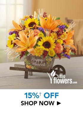 1-800-Flowers.com | 15%â  OFF Select Flowers and Gifts