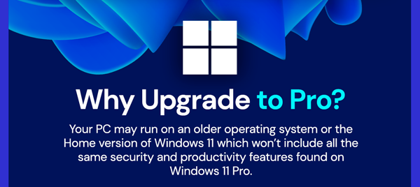 Microsoft Windows 11 Pro