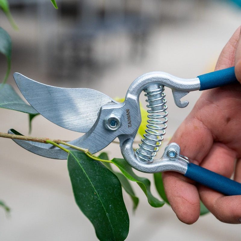 Hand Pruners