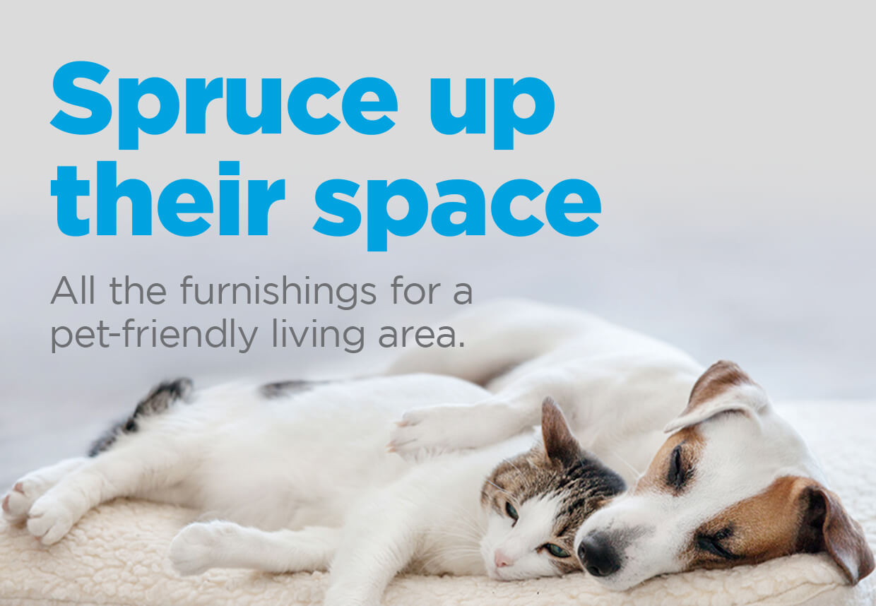 Spruce up their space. All the furnishings for a pet-friendly living area.