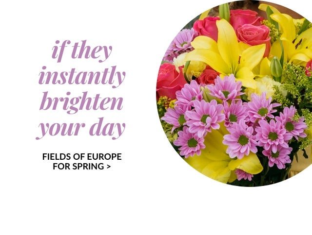 FIELDS OF EUROPE FOR SPRING