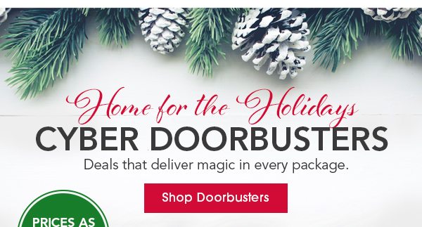 Home for the Holidays Cyber Doorbusters Deals that deliver magic in every package.