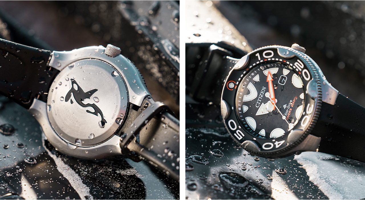 Promaster Dive watch sitting on flippers, showcasing the orca case-back and the black dial