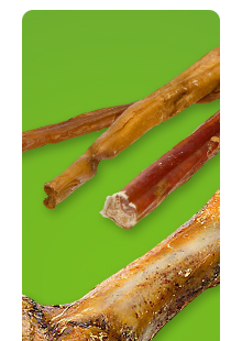 Shop bones and natural chews >