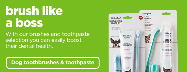 Shop dog toothbrushes and toothpaste >