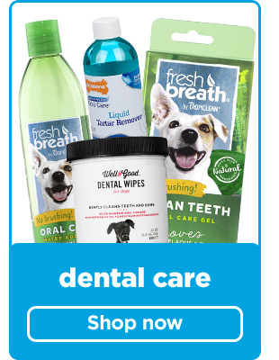 Dental care. Shop now.