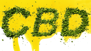 What You Should Know About CBD Oil