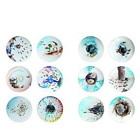 Bernardaud LArt de la Table Le Plat est un Paysage by Marlene Mocquet Coupe Plates Set of 12