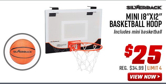 Silverback Mini 18''x12'' Basketball Hoop